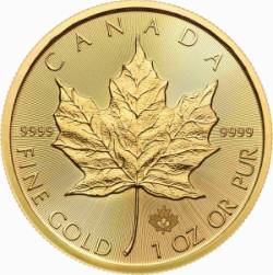 Maple-Leaf Goldmünze 1 oz Jahrgang 2017 Motivseite